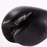 Drako True North Boxing Gloves - Image 7