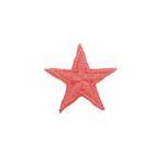 Big Star Patch