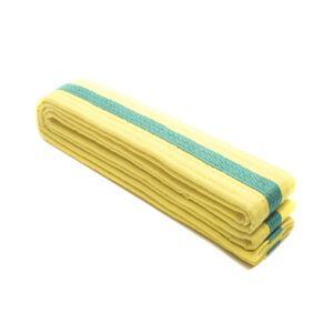 Drako Taekwondo Single Wrap Striped Belt - Yellow GreenStripe, 0