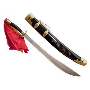 KUNG FU SWORD SOFT BLADE STEEL