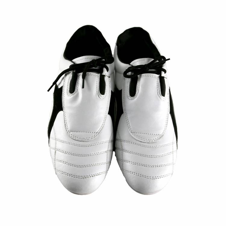 Bushido Taekwondo Leather Shoe Bushido Taekwondo Leather Shoe