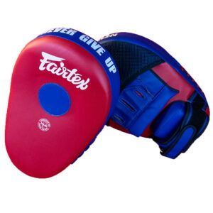 fairtex focus mitts