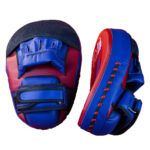 fairtex focus mitts