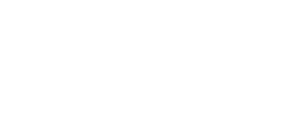Bushido Martial Arts
