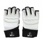 Drako 2KO TKD Fighter V-Gloves