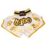Drako Muay Thai Thick Satin Shorts - Image 2