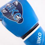 Drako Talon Boxing Gloves - Image 7