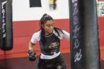 Drako MMA Training Gloves - Image 8
