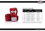 fairtex gloves bushido