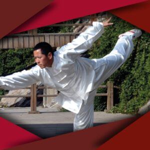 KUNG FU2