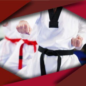 TAEWKWONDO2