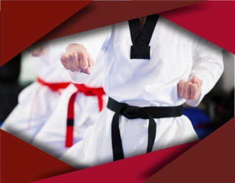 TAEWKWONDO2