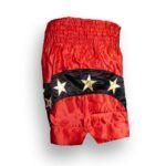 Drako First Class Thai Shorts - Image 3