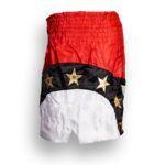 Drako First Class Thai Shorts - Image 4