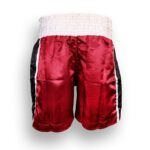 Drako V1 Boxing Shorts - Image 7