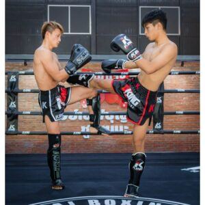 King Pro Shin Guards
