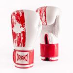 DRAKO PATRIOT BOXING GLOVES