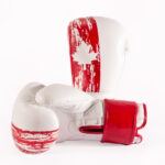 DRAKO PATRIOT BOXING GLOVES - Image 3