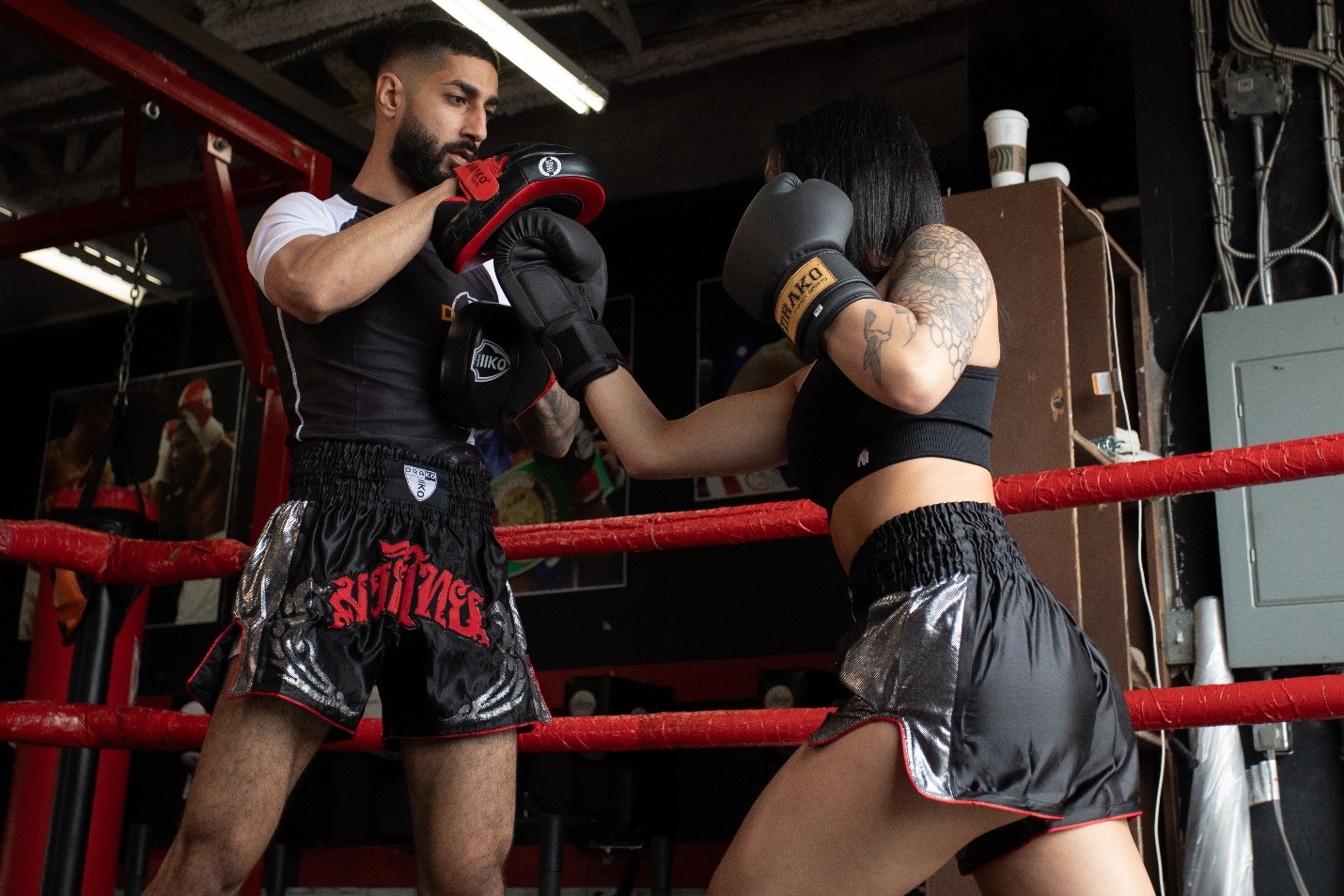 Focus Mitts